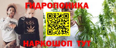 каннабис Аргун