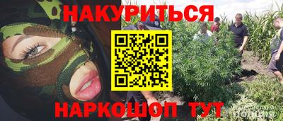 стаф Апшеронск