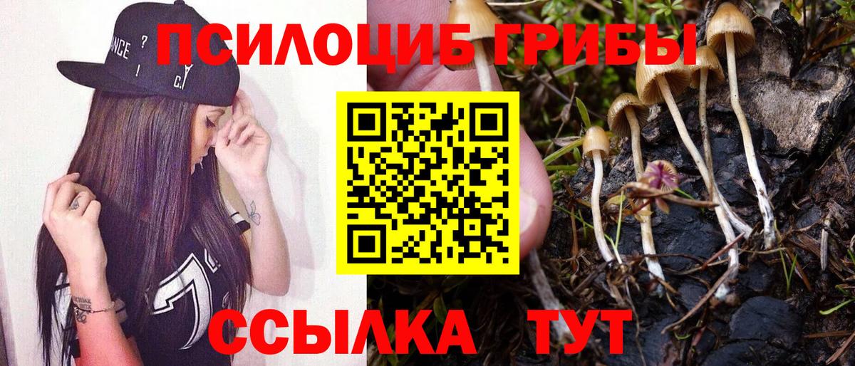 что такое наркотик  Вход с VPN  Асбест  Псилоцибиновые грибы GOLDEN TEACHER 